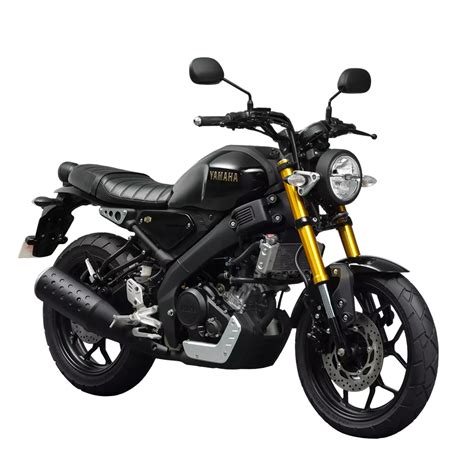 xsr-155 jav|YAMAHA XSR 155 .